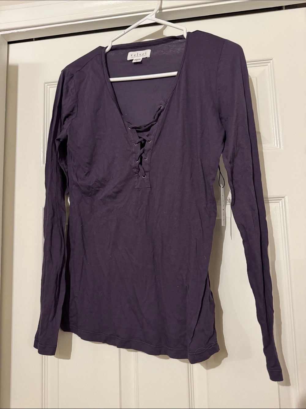 Velvet Long Sleeve Lace-Up V-Neck Top in Deep Purple